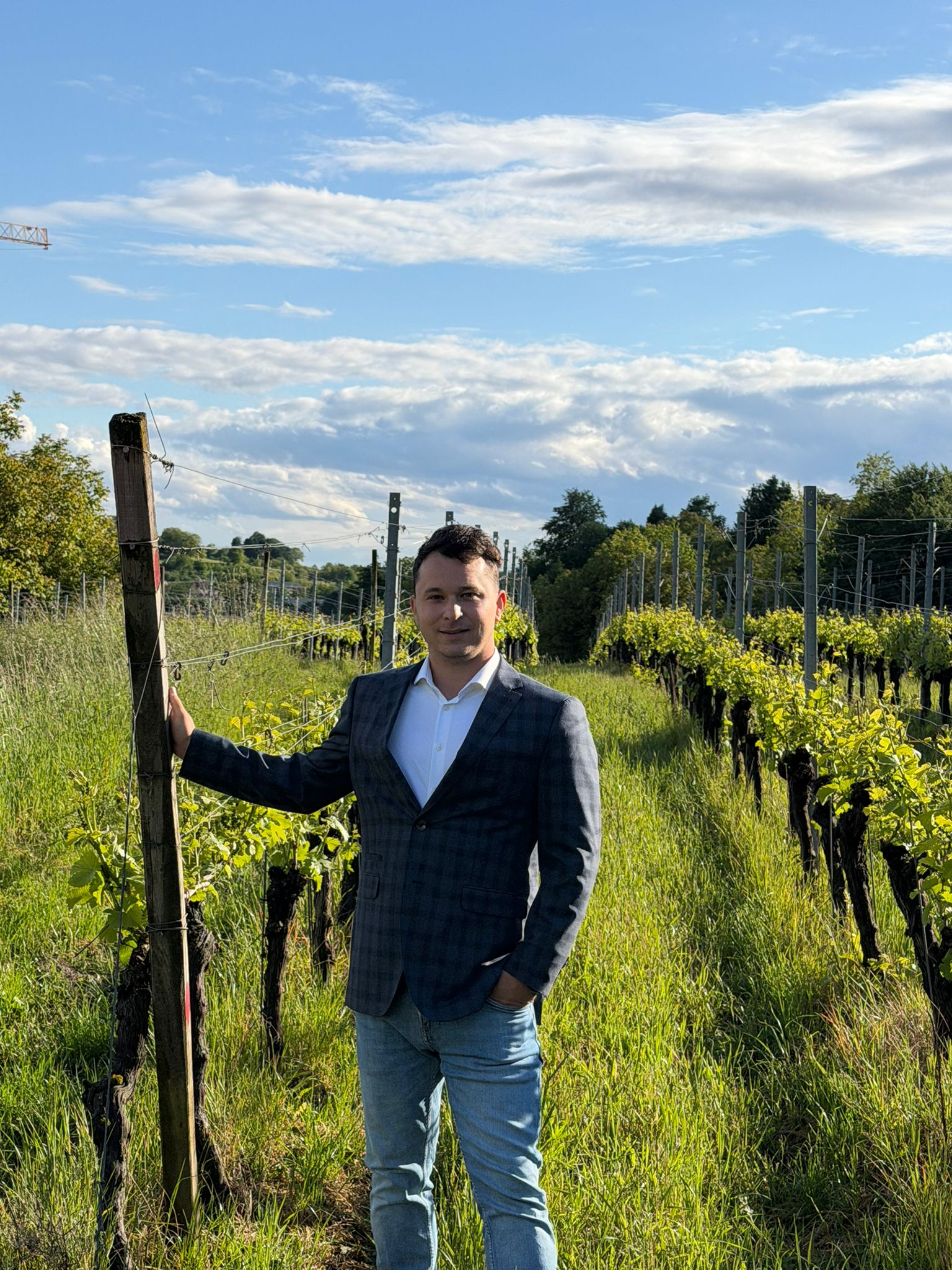 Florian Maul im Weinberg bei Malterdingen